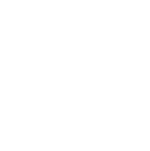 VLE-Logo