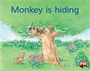 Image for PM MAGENTA MONKEY IS HIDING PM LEVELS 2