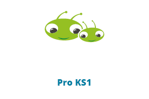 Bug Club Pro Guided KS1