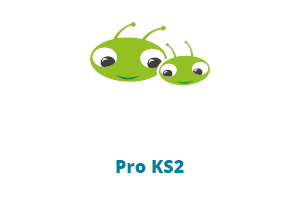 Bug Club Pro Guided KS2