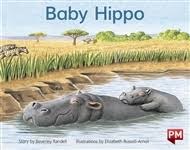 Image for PM YELLOW BABY HIPPO PM STORYBOOKS LEVEL