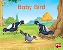 Image for PM MAGENTA BABY BIRD PM LEVELS 2 3